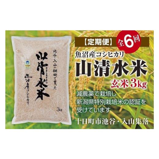 ふるさと納税 新潟県 十日町市 玄米3kg　新潟県魚沼産コシヒカリ「山清水米」