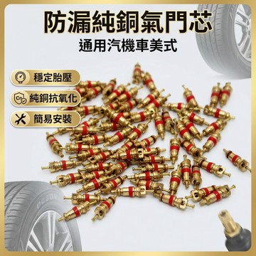【台灣現貨】 純銅氣門芯 氣門芯 氣嘴內芯 補胎蚯蚓條 汽機車輪胎維修工具