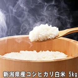 令和5年産 新潟産 コシヒカリ 5kg 白米 送料無料白米　お取り寄せこしひかり　農薬節減（7割減） 有機肥料栽培