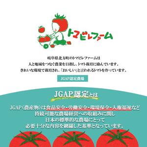 ふるさと納税 中玉 トマト フルティカ 2kg 岐阜県 北方町 岐阜県北方町