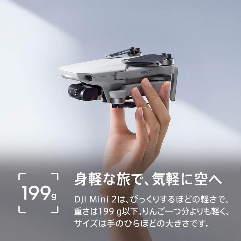 DJI Mini 2 通販 LINEポイント最大GET | LINEショッピング