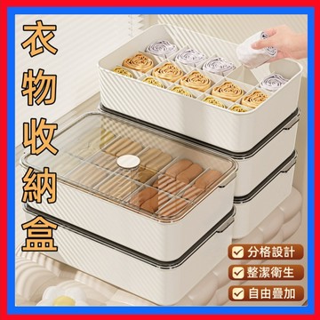 內衣收納盒👌衣物收納盒 內衣收納 襪子收納盒 內褲收納 抽屜收納盒 內衣褲收納 衣服收納 分隔收納盒 帶蓋收納盒 防塵