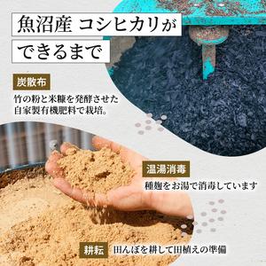 ふるさと納税 令和5年産 無洗米 米食味鑑定士 厳選 魚沼産 コシヒカリ 3kg （ 米 こしひかり お米 新潟 魚沼 魚沼産コシヒカリ 魚沼産こしひかり.. 新潟県魚沼市