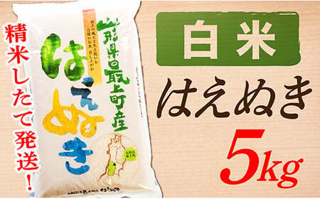 山形県産はえぬき5kg