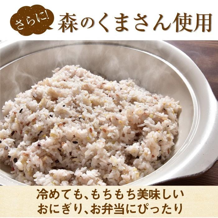 有機栽培 十穀米 ポイント消化 熊本県産 2合入 有機JAS 安心 安全 雑穀米 お試し オーガニック 無農薬