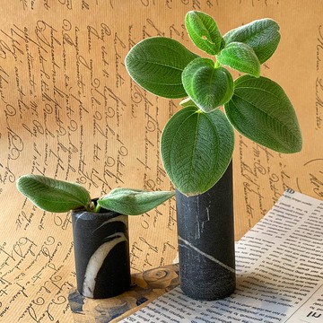 台灣 南田石花器 蟬翼蒹葭 │ 天然水墨系列  擺飾