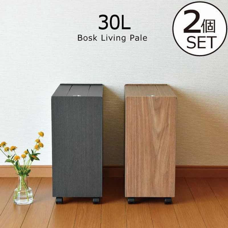 ゴミ箱 おしゃれ 分別 30リットル キッチン 大型 スリム ゴミ箱 おしゃれ 分別 30リットル キッチン 大型 スリム