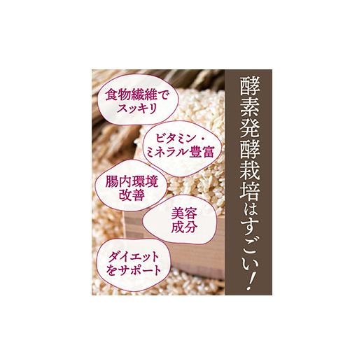 ふるさと納税 群馬県 富岡市 酵素発酵玄米900g×2