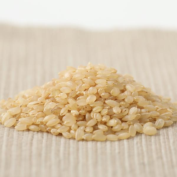 マゴメ 国内産 発芽玄米 (有機栽培米使用) 1kg 発芽玄米 コシヒカリ