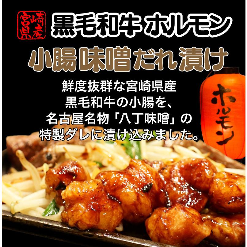 黒毛和牛 ホルモン 焼き肉 小腸 味噌だれ漬け 400g 宮崎県産 送料無料 BBQ おつまみ おかず クール便