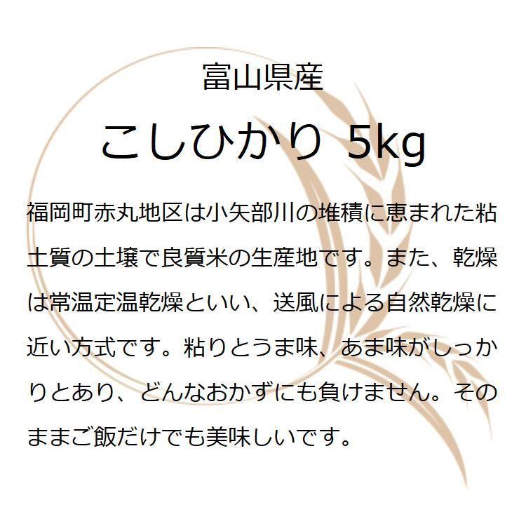 お米 ギフト 玄米 5kg 赤丸こしひかり玄米 富山県産 コシヒカリ 5キロ 令和5年産 新米 食品 入学内祝い 引っ越し 挨拶 名入れ プレゼント