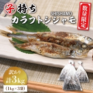  子持ち カラフトシシャモ 3kg (500g×6袋) 訳アリ シシャモ ししゃも カラフトししゃも 大洗 規格外 訳あり わけあり 傷