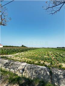 佳里重劃方正農地｜台南市佳里區龍安段