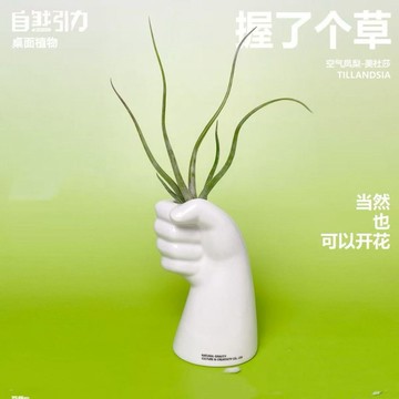 握了個草花瓶🏺創意手勢文藝陶瓷花瓶 家居擺件 客廳插花幹花 白瓷花瓶  現代簡約花瓶 家居裝飾品擺件