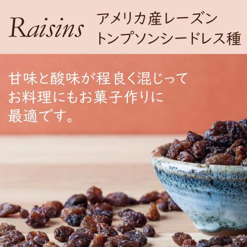 レーズン (アメリカ産) 500ｇ チャック袋入り ポイント消化 グルメ