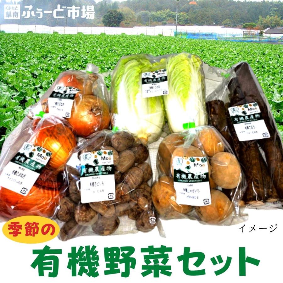 季節の有機野菜セット（新鮮　直送　農家直送　採れたて）