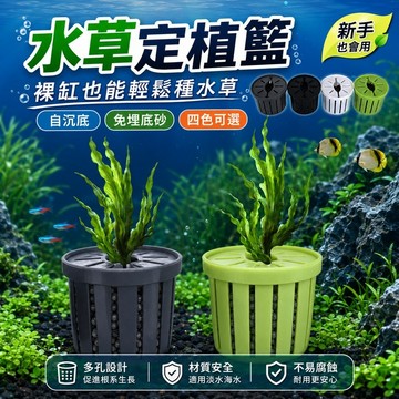 【現貨】魚缸水草定植籃 水草種植杯 水草固定籃 水族造景配件 多孔透氣設計 水草泥培養杯 自沉底水草盆 水草泥 水草用品
