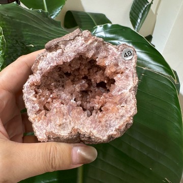 圖桑帶回 |阿根廷 粉紅紫水晶 粉紅紫水晶洞 辦公桌招財 T240313-048