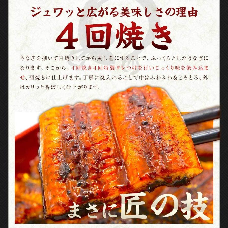 お歳暮 御歳暮 2023 国産 うなぎ 蒲焼き 約140g×2尾セット 鹿児島県産 送料無料 ギフト