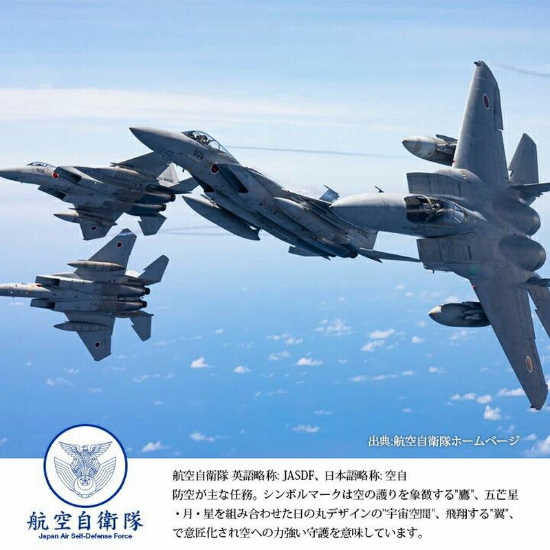 F-35A ライトニングII 航空自衛隊 クリアファイル （1/144 航空 