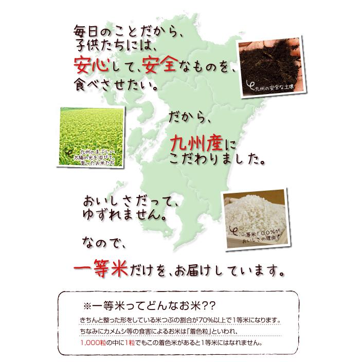 鹿児島コシヒカリ 玄米  5kg 令和5年産