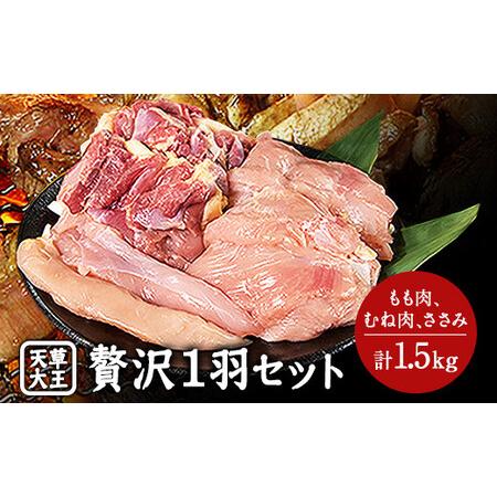 ふるさと納税 天草大王 贅沢1羽セット 約1.5kgもも・むね・ささみ 各2枚《60日以内に順次出荷(土日祝除く)》 熊本県山江村