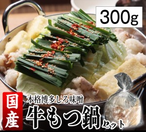 送料無料　複数購入特典「博多名物しろ味噌もつ鍋セット 2～3人前 国産牛もつ300g」 ギフト 記念日