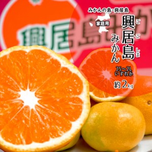 みかん 箱買い 興居島みかん 興居島 みかんの島 2S～2L 家庭用 約2ｋｇ 送料無料 愛媛みかん