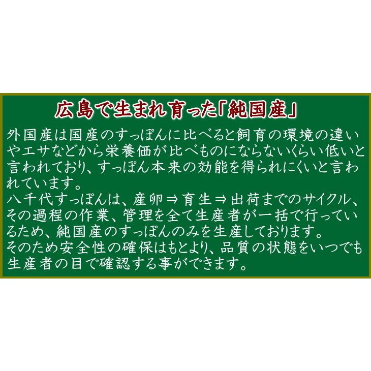 広島産 八千代すっぽん鍋セット(大)　5〜6人前