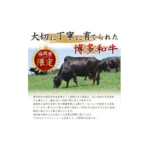 ふるさと納税 福岡県 田川市 博多和牛サーロインステーキ　250g（250g×1枚）