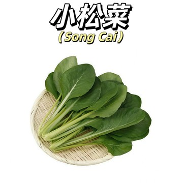 嘉儀現貨（小松菜種子）日本小松菜種子 株型直立，葉長圓，葉柄綠，葉面深綠色有光澤，耐暑性強#葉菜類蔬菜種子