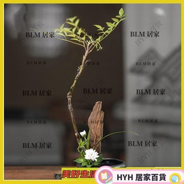 HYH 免運 陶瓷花器小插花禪意茶席中式插花器皿復古日式花道劍山插花器套裝