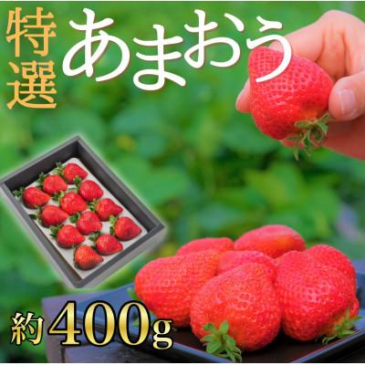 ふるさと納税 朝倉市 特選あまおう約400g(朝倉市)