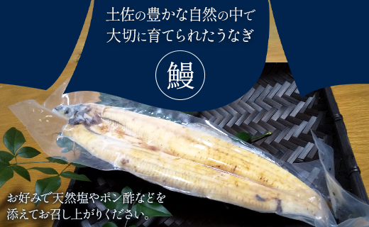 吉川水産 高知県産うなぎの白焼 中サイズ(120～140g)×5尾 タレ付き 自宅用エコ包装 yw-0047