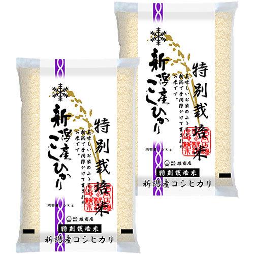 新米 堀商店 令和5年 特別栽培米 新潟コシヒカリ10kg｜お取り寄せ つきたて 新米