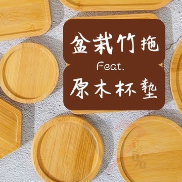 多肉盆栽托盤【隔日到貨】盆栽底盤 花盆托 花盆盤 盆栽盤 盆栽拖盤 圓形托盤 圓形杯墊 小花盆托盤