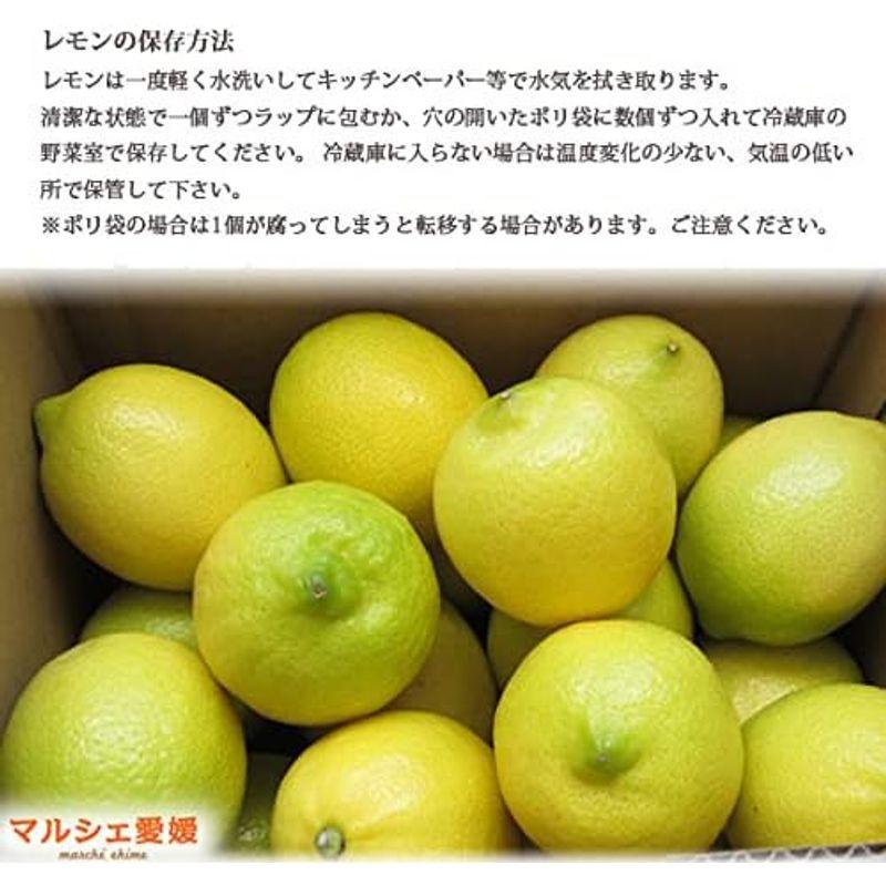 国産 レモン 秀品 2kg 生レモン 瀬戸内産 防腐剤不使用 皮まで食べられる マルシェ愛媛