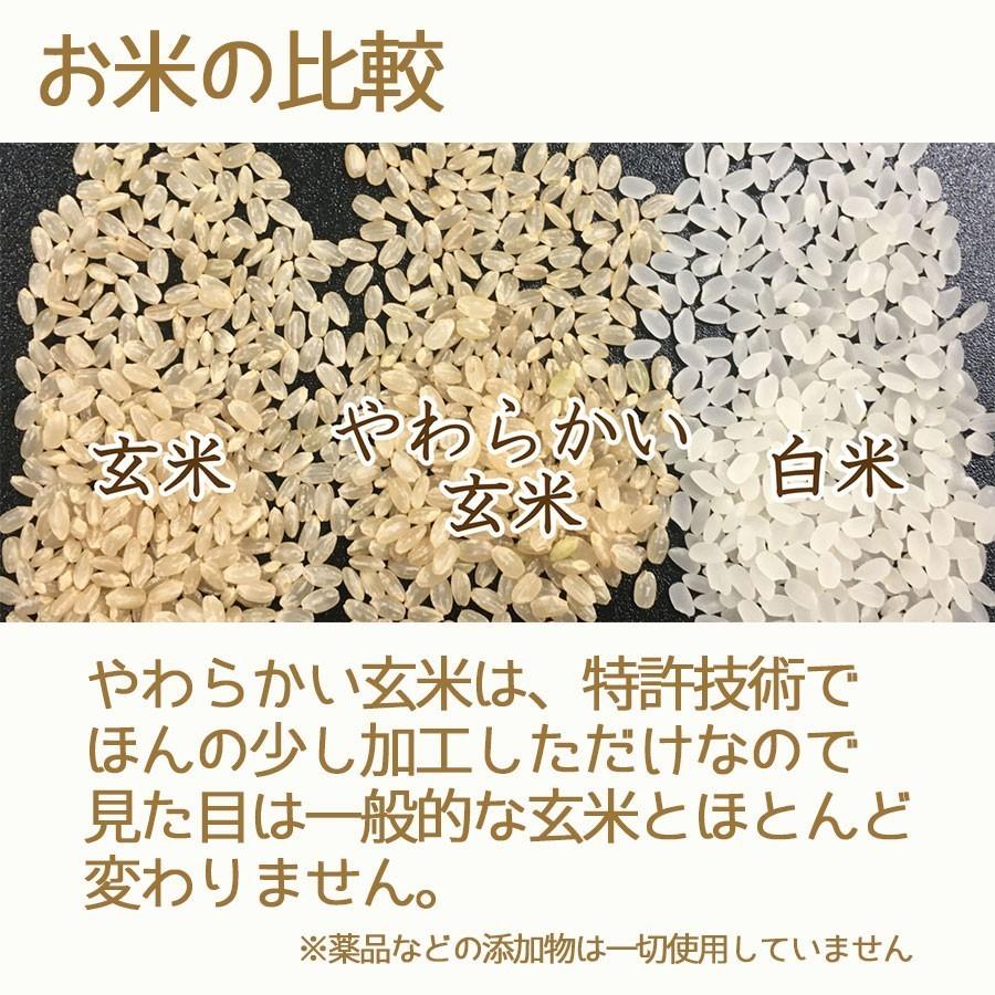 ヤマトライス 白米と同じように炊けるやわらかい玄米 富山県産 こしひかり 2kg