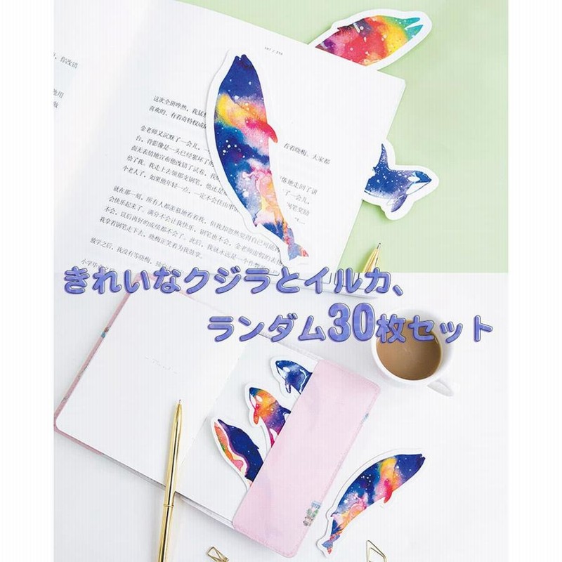 正規品オラクルカード】水彩画の美麗イラスト✨イルカやクジラに