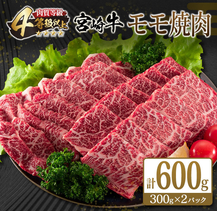 C70-21 宮崎牛モモ焼肉(計600g)　肉　牛　牛肉