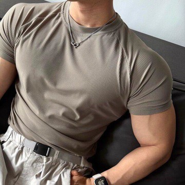 台灣现貨 型男短袖 健身短袖 顯肩寬美式短袖 機車短袖 質感坑條夏季短袖男冰絲涼感短袖 運動速幹純色T恤 圓領透氣短袖