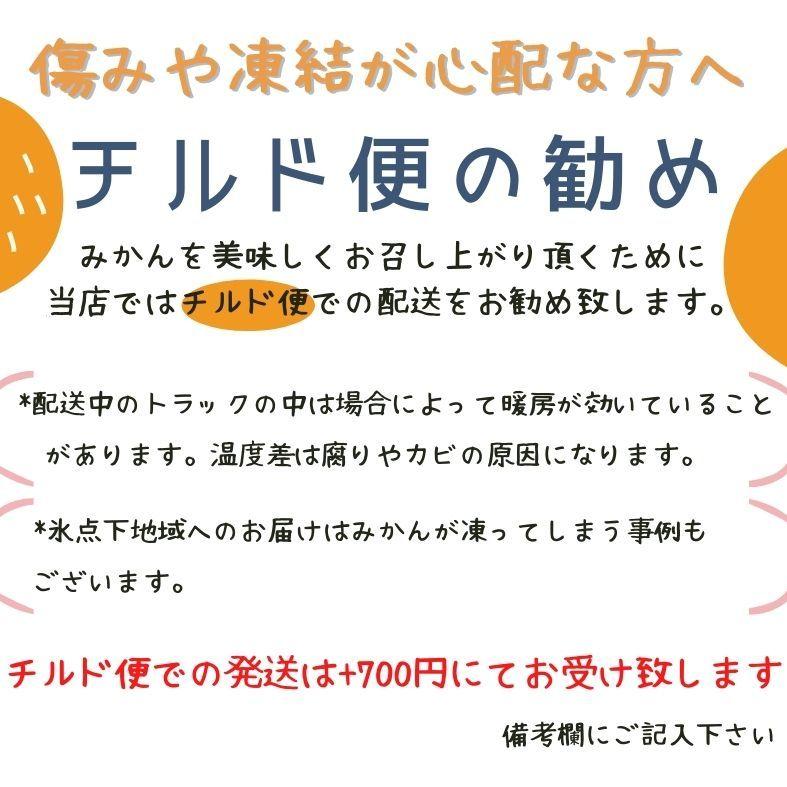 早生小粒愛媛みかん 約10kg (5kg×2箱)　北海道・沖縄送料別途1000円