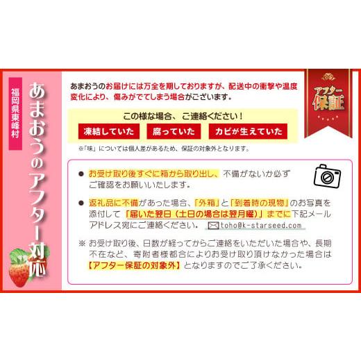 ふるさと納税 福岡県 東峰村 2G3福岡県産「あまおう」定期便3回お届け (1月・2月・3月)