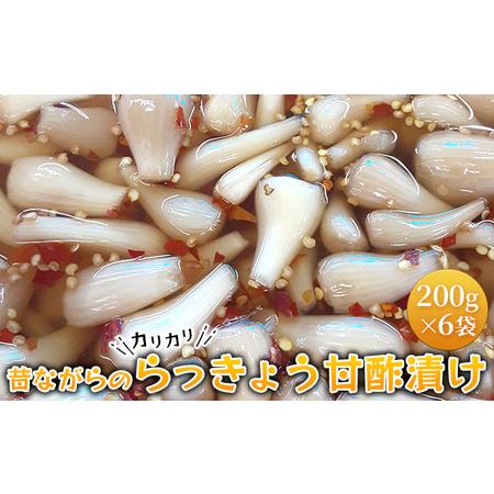 ふるさと納税 らっきょう 甘酢 漬け 漬物 200g×6袋 漬け物 つけもの 野菜 惣菜 福岡県朝倉市