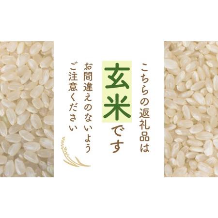 ふるさと納税 あきさかり 3kg 令和5年 福井県産 コシヒカリ系統品種 [e30-a041] 福井県越前町