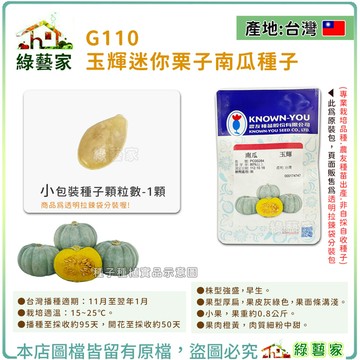【綠藝家】G110.玉輝迷你栗子南瓜種子1顆 型美色佳貝貝南瓜，質地優良的西洋南瓜品種 果肉橙黃
