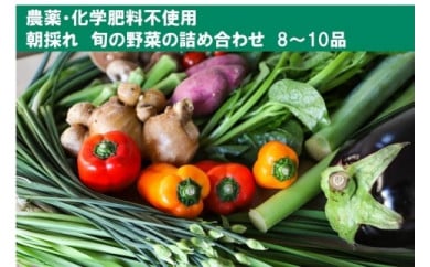 土佐の太陽をいっぱいに浴びた旬の野菜セット「小」