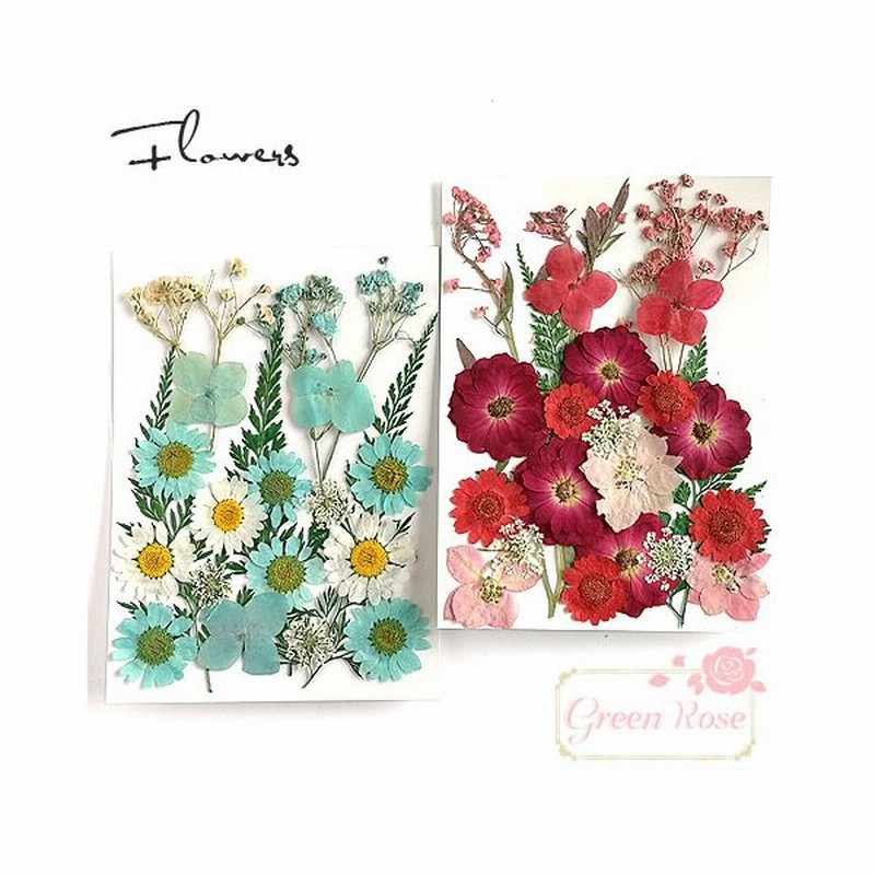 押し花アソートミックス ブルー系レッド系 1枚 ハーバリウム レジンクラフト 花材 2101 Assort245 通販 Lineポイント最大0 5 Get Lineショッピング