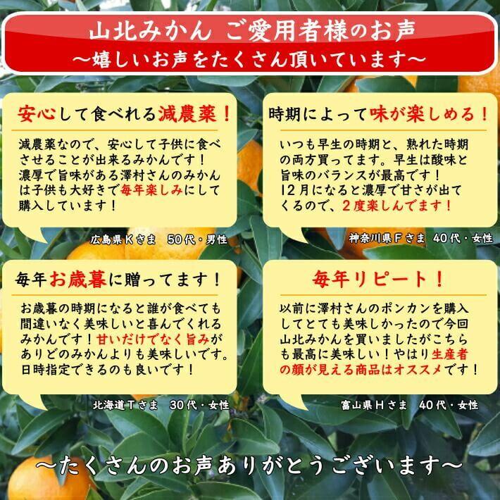 山北みかん 減農薬 訳あり 約10kg 生産者限定 温州みかん お歳暮 高知県産