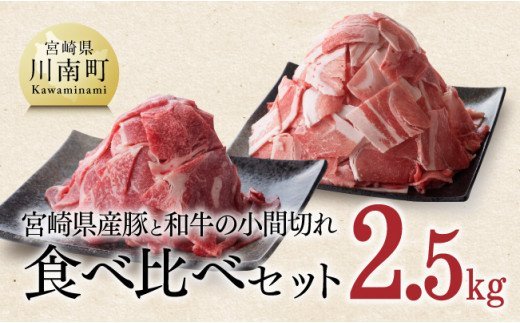 ※令和6年2月より順次発送※和牛と豚肉のこま切れセット 2.5kg [F0606]